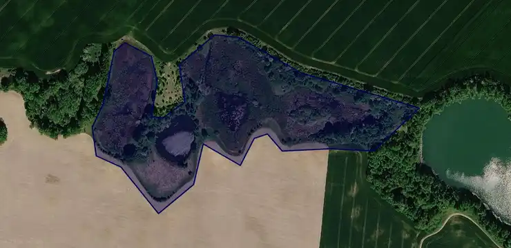 Działka na sprzedaż - LUBUSKIE, strzelecko-drezdenecki, Strzelce Krajeńskie, Brzoza 267/2