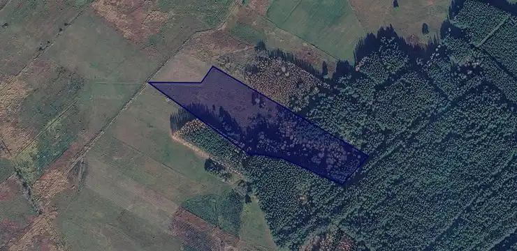 Działka na sprzedaż - PODLASKIE, bielski, Boćki, Pawlinowo 286