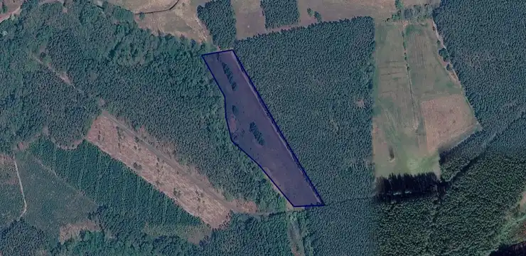 Działka na sprzedaż - LUBUSKIE, krośnieński, Gubin, Łomy 86/3
