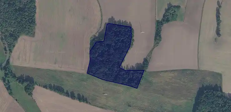 Działka na sprzedaż - LUBUSKIE, żagański, Brzeźnica, Wrzesiny 292/6