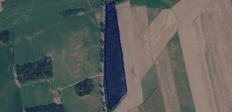 Działka na sprzedaż - ŚLĄSKIE, gliwicki, Rudziniec, Chechło 1220/426