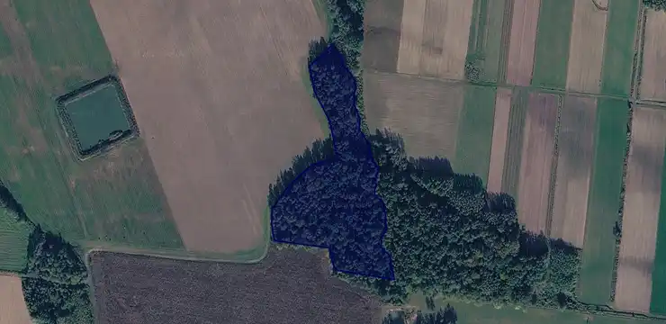 Działka na sprzedaż - PODKARPACKIE, leżajski, Kuryłówka, Słoboda 404/2