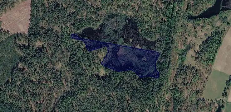 Działka na sprzedaż - POMORSKIE, bytowski, Miastko, Węgorzynko 322