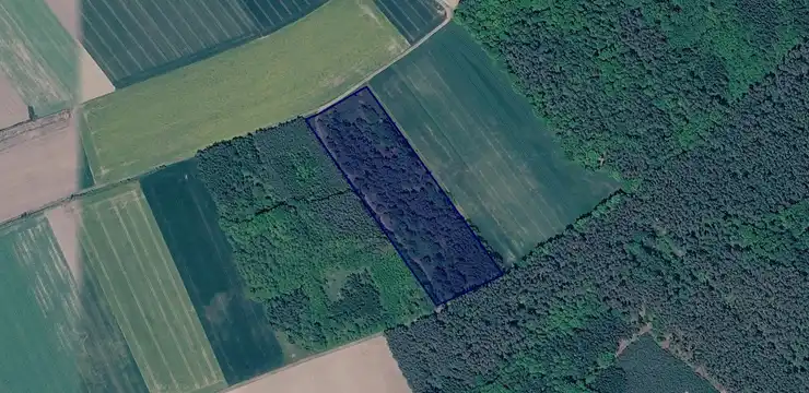 Działka na sprzedaż - DOLNOŚLĄSKIE, górowski, Niechlów, Wroniniec 175/2