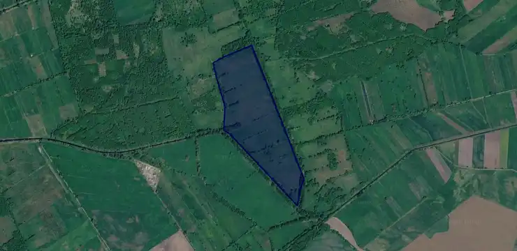 Działka na sprzedaż - WIELKOPOLSKIE, grodziski, Kamieniec, Sepno 90