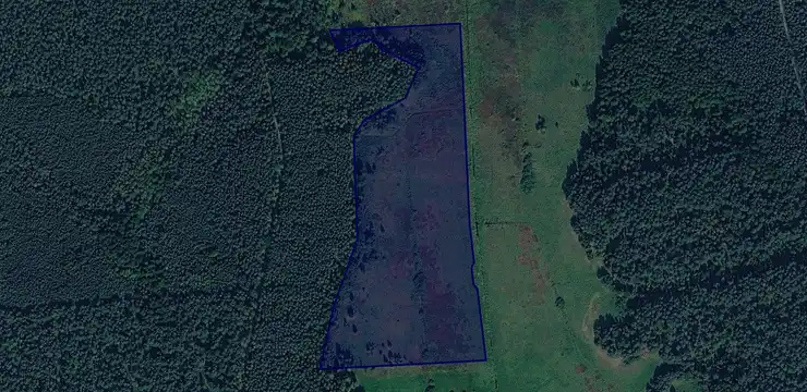 Działka na sprzedaż - ŚLĄSKIE, częstochowski, Lelów, Nakło 2901