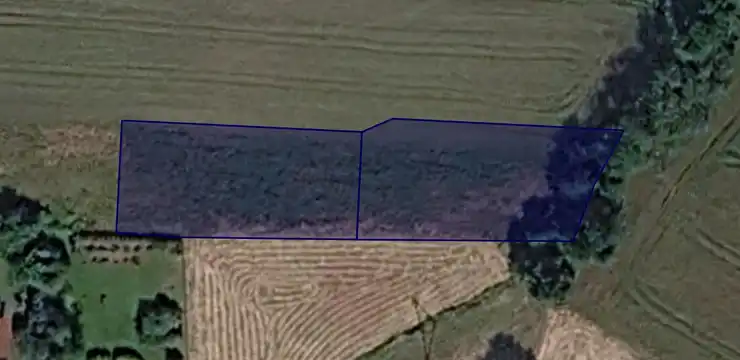 Działka na sprzedaż - ŚLĄSKIE, pszczyński, Miedźna, Wola 1058/64