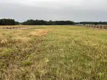 Budynek rolniczy jako półśrodek do WZ w strefie otwartej. Sprawdzamy, czy taka konstrukcja prawna ma szansę zadziałać w erze Planów Ogólnych