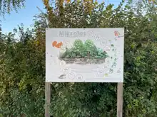 Las na 527 m², rosnący w kilkanaście lat zamiast kilkudziesięciu. Historia mikrolasu na krakowskim Zabłociu