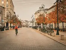 Topole, które odbudowały zieleń Warszawy, dobiegają końca swojego życia