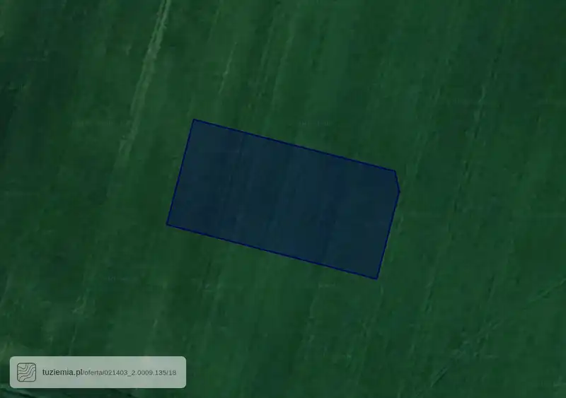 Działka na sprzedaż Miodary