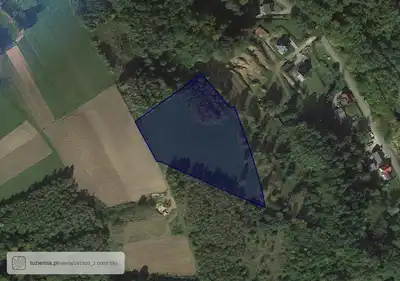 Zdjęcie 2