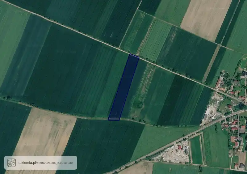 Działka na sprzedaż Lusina