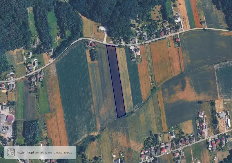 Działka na sprzedaż Bełsznica