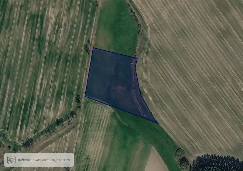 Działka na sprzedaż Zielona Góra