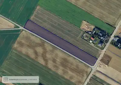 Zdjęcie 2