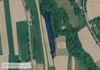 Zdjęcie 2