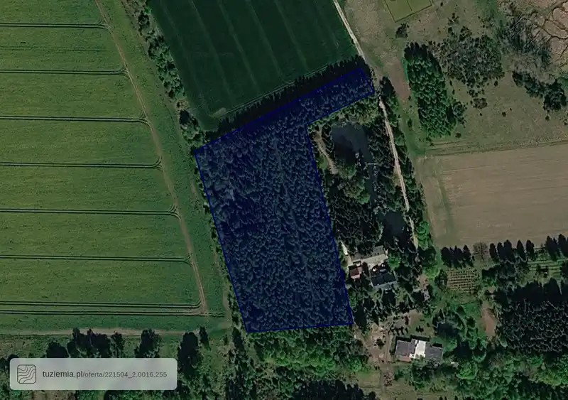 Działka na sprzedaż Kierzkowo