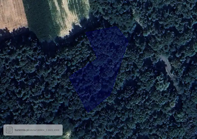 Działka na sprzedaż Giedlarowa