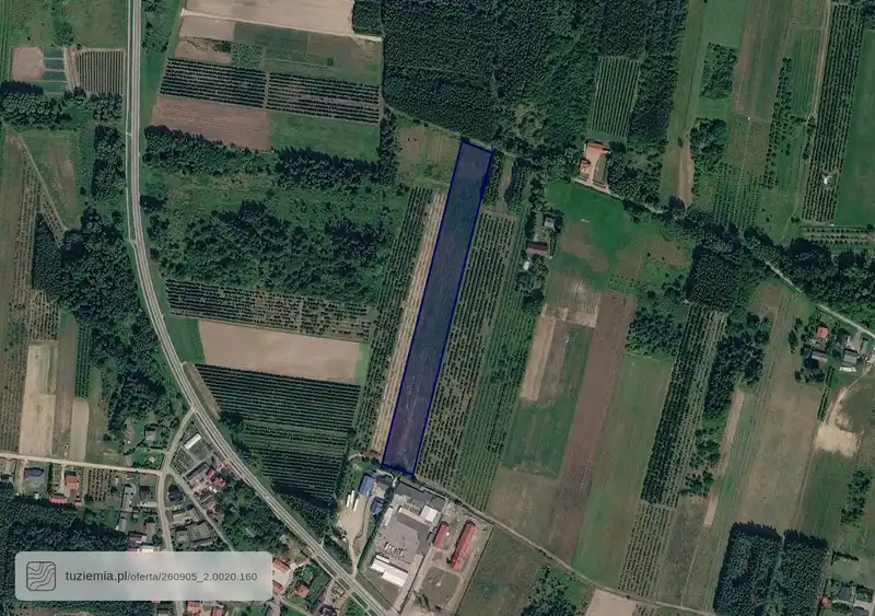 Działka na sprzedaż Skwirzowa
