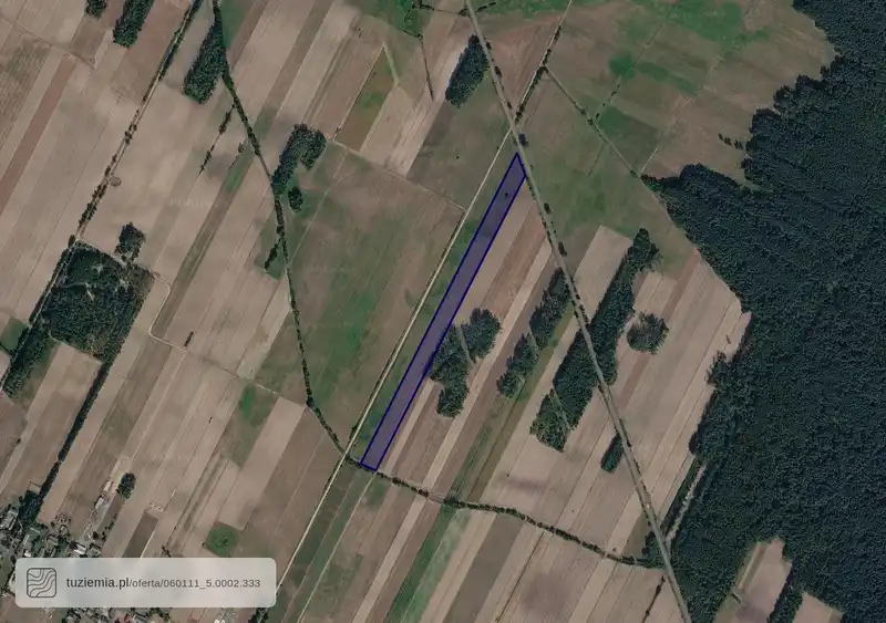Działka na sprzedaż Dąbrowica Mała