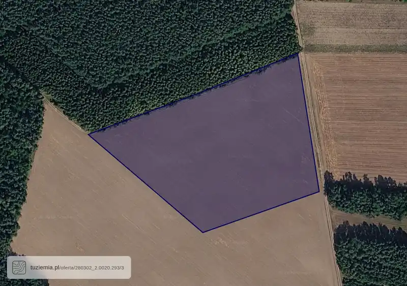 Działka na sprzedaż Petrykozy