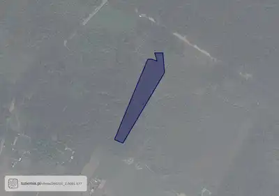 Zdjęcie 2