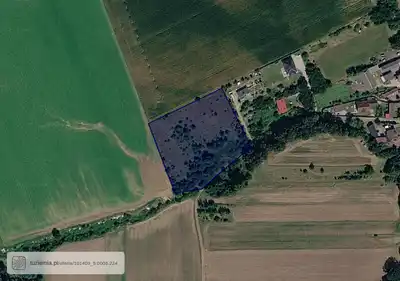 Zdjęcie 2