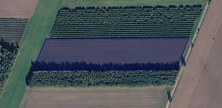 Działka na sprzedaż - LUBELSKIE, bialski, Janów Podlaski, Romanów 289/4