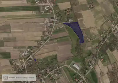 Zdjęcie 2