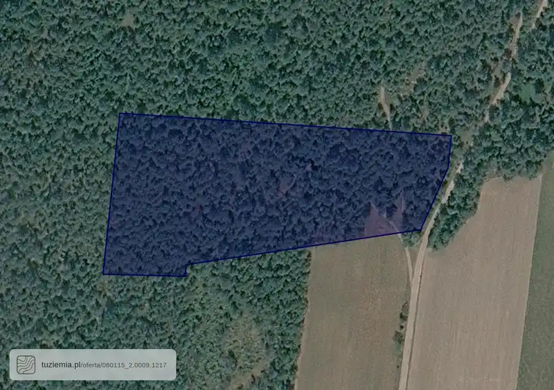 Działka na sprzedaż Rozwadówka