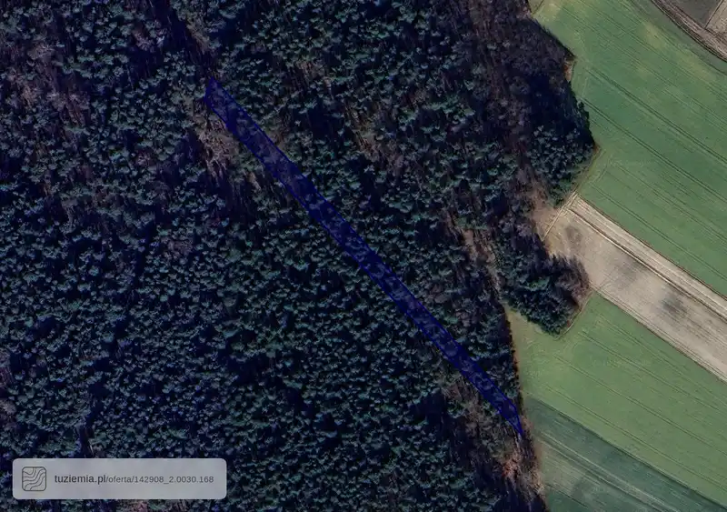 Działka na sprzedaż Przywózki