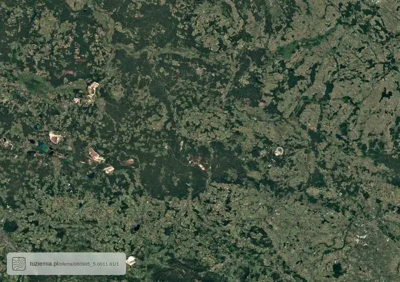 Działka na sprzedaż Krzywa