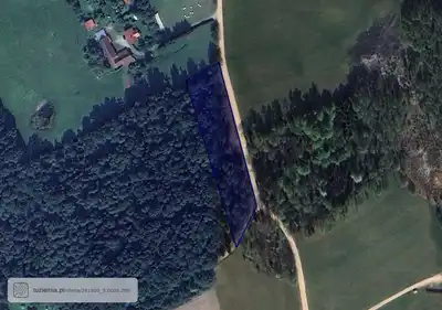 Zdjęcie 5