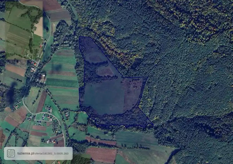 Działka na sprzedaż Brzuska