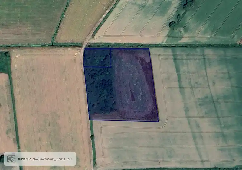 Działka na sprzedaż Kazimierzowo