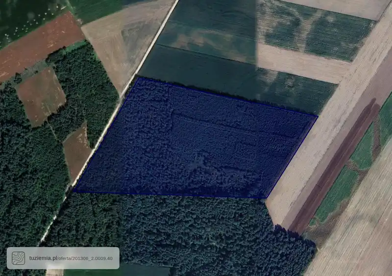 Działka na sprzedaż Gołasze-Dąb