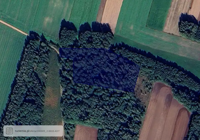 Działka na sprzedaż Torule