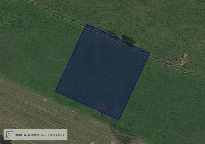 Działka na sprzedaż Borki