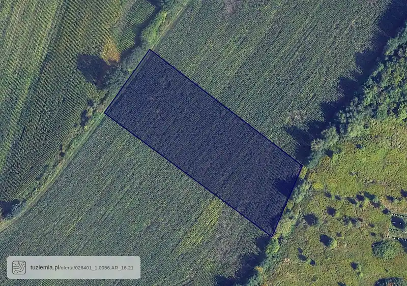 Działka na sprzedaż Pawłowice