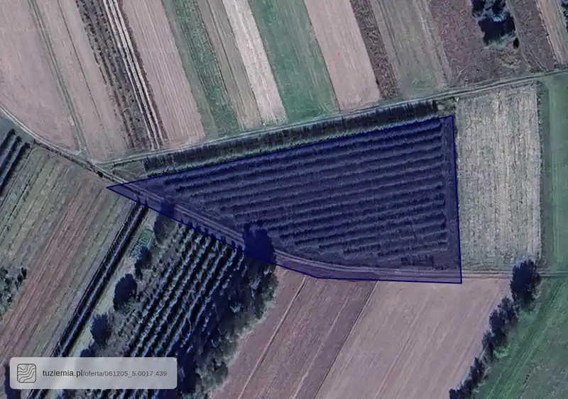 Działka na sprzedaż Kazimierzów