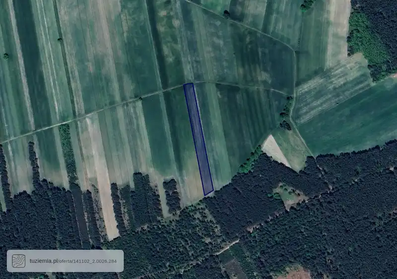 Działka na sprzedaż Dąbrówka