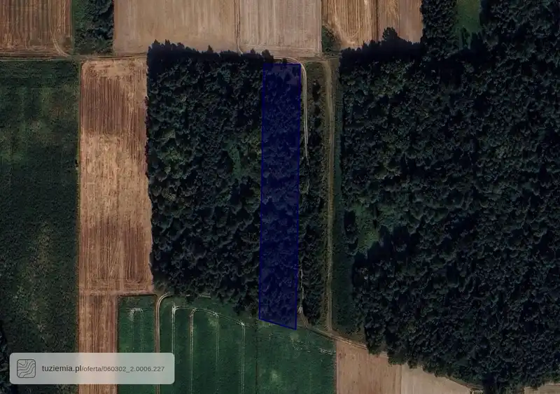 Działka na sprzedaż Kurmanów