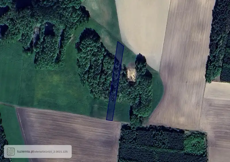 Działka na sprzedaż Zalesie Królewskie