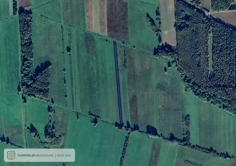 Działka na sprzedaż Sutno