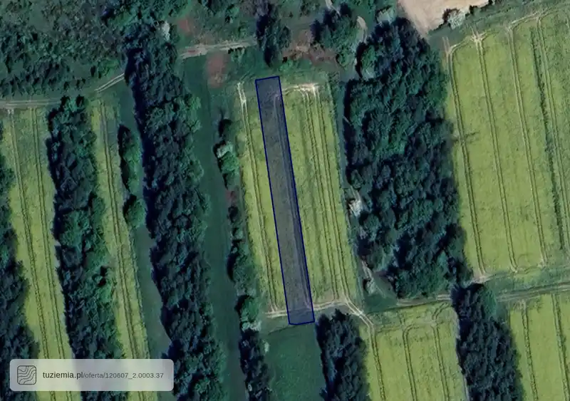 Działka na sprzedaż Brzoskwinia