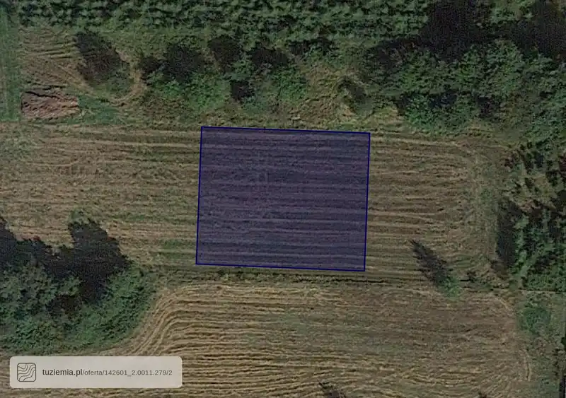 Działka na sprzedaż Przywory Duże