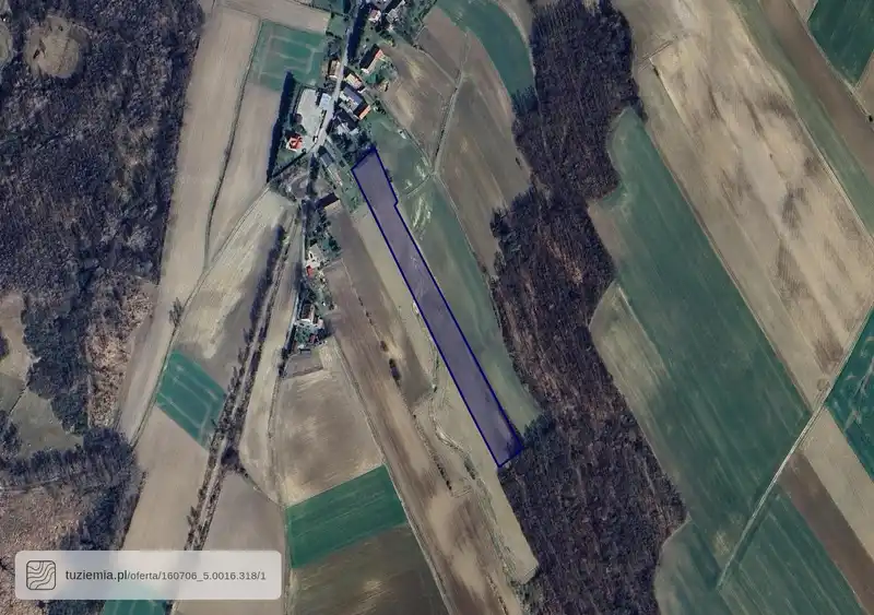 Działka na sprzedaż Łąka