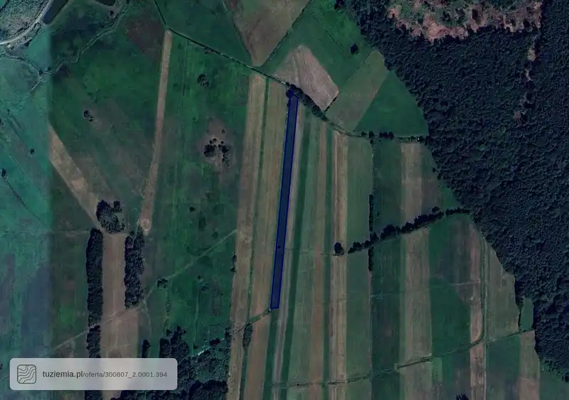 Działka na sprzedaż Kuźnica Trzcińska