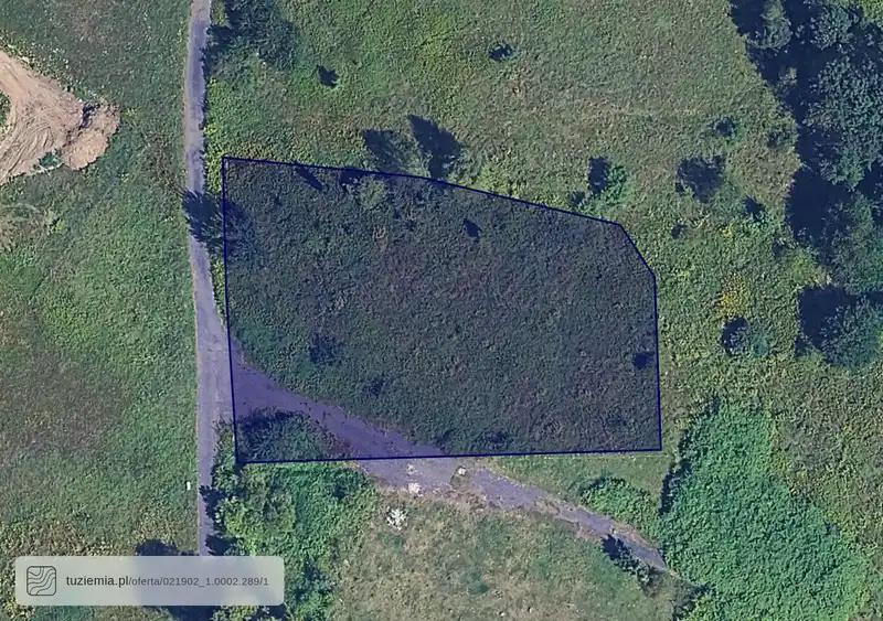 Działka na sprzedaż Pełcznica 2
